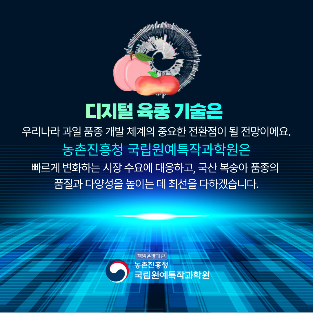 디지털 육종 기술은 우리나라 과일 품종 개발 체계의 중요한 전환점이 될 전망이에요. 농촌진흥청 국립원예특작과학원은  빠르게 변화하는 시장 수요에 대응하고, 국산 복숭아 품종의 품질과 다양성을 높이는 데 최선을 다하겠습니다. 책임운영기관 농촌진흥청 국립원예특작과학원