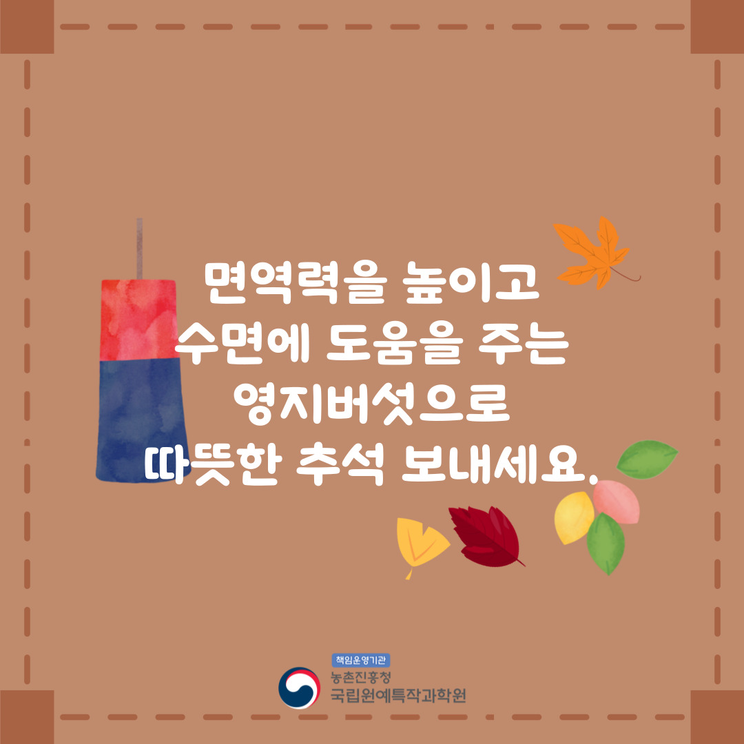 면역력을 높이고 수면에 도움을 주는 영지버섯으로 따뜻한 추석 보내세요. 책임운영기관 농촌진흥청 국립원예특작과학원 