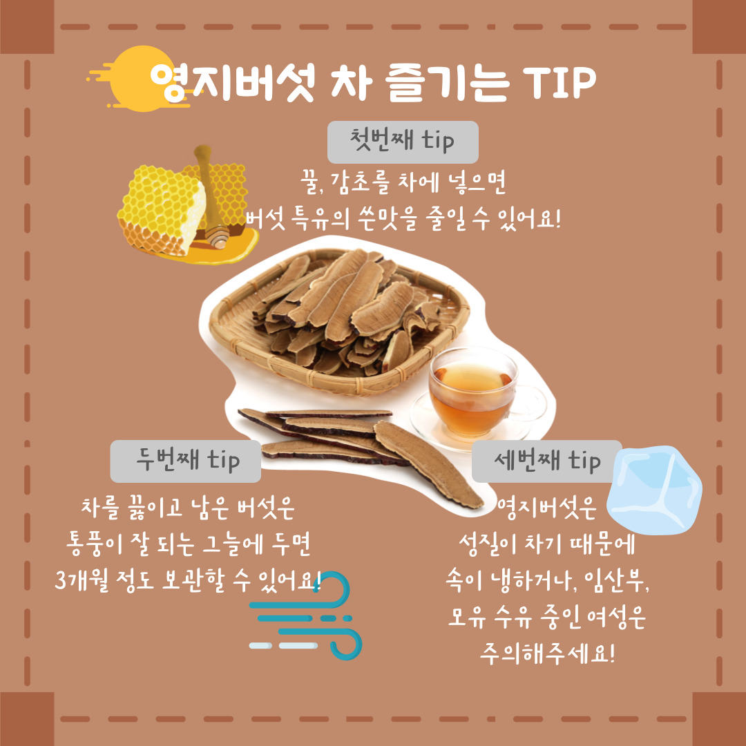 영지버섯 차 즐기는 TIP 첫번째 tip 꿀, 감초를 차에 넣으면 버섯 특유의 쓴맛을 줄일 수 있어요! 두번째 tip 차를 끓이고 남은 버섯은 통풍이 잘 되는 그늘에 두면 3개월 정도 보관할 수 있어요! 세번째 tip 영지버섯은 성질이 차기 때문에 속이 냉하거나 임산부, 모유 수유 중인 여성은 주의해주세요! 