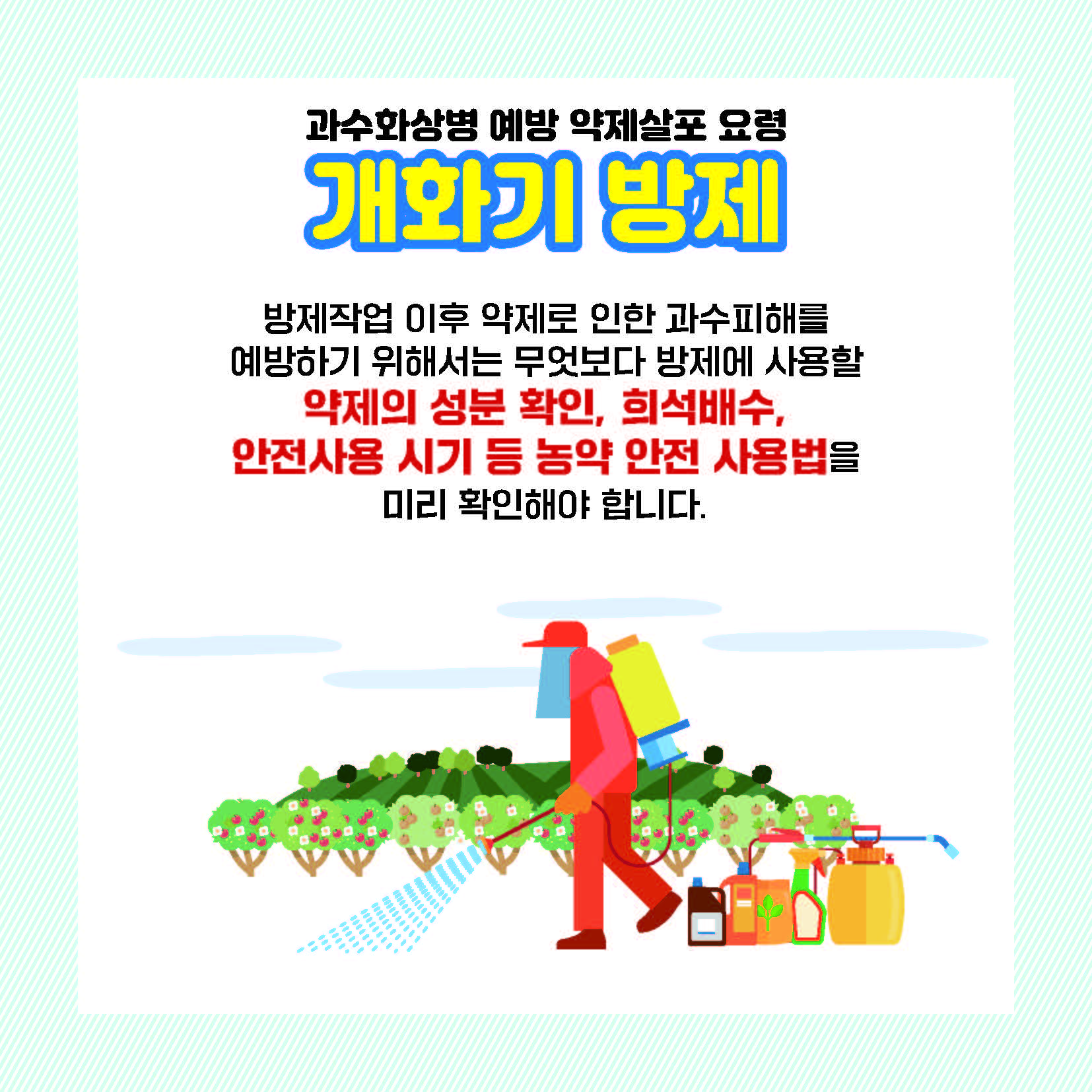 과수화상병 예방 약제살포 요령 개화기 방제 방제작업 이후 약제로 인한 과수피해를 예방하기 위해서는 무엇보다 방제에 사용할 약제의 성분 확인, 희석배수, 안전사용 시기 등 농약안전사용법을 미리 확인해야 합니다.