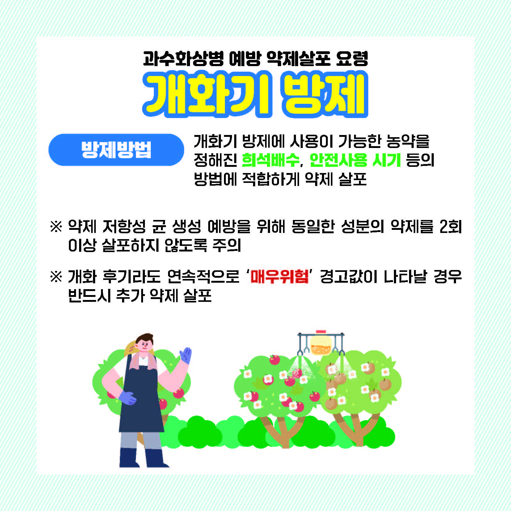 과수화상병 예방 약제살포 요령 개화기 방제 방제방법 개화기 방제에 사용이 가능한 농약을 정해진 희석배수, 안전사용시기 등의 방법에 적합하게 약제 살포 ※약제 저항성 균 생성 예방을 위해 동일한 성분의 약제를 2회 이상 살포하지 않도록 주의 ※개화 후기라도 연속적으로 '매우위험' 경고값이 나타날 경우 반드시 추가 약제 살포