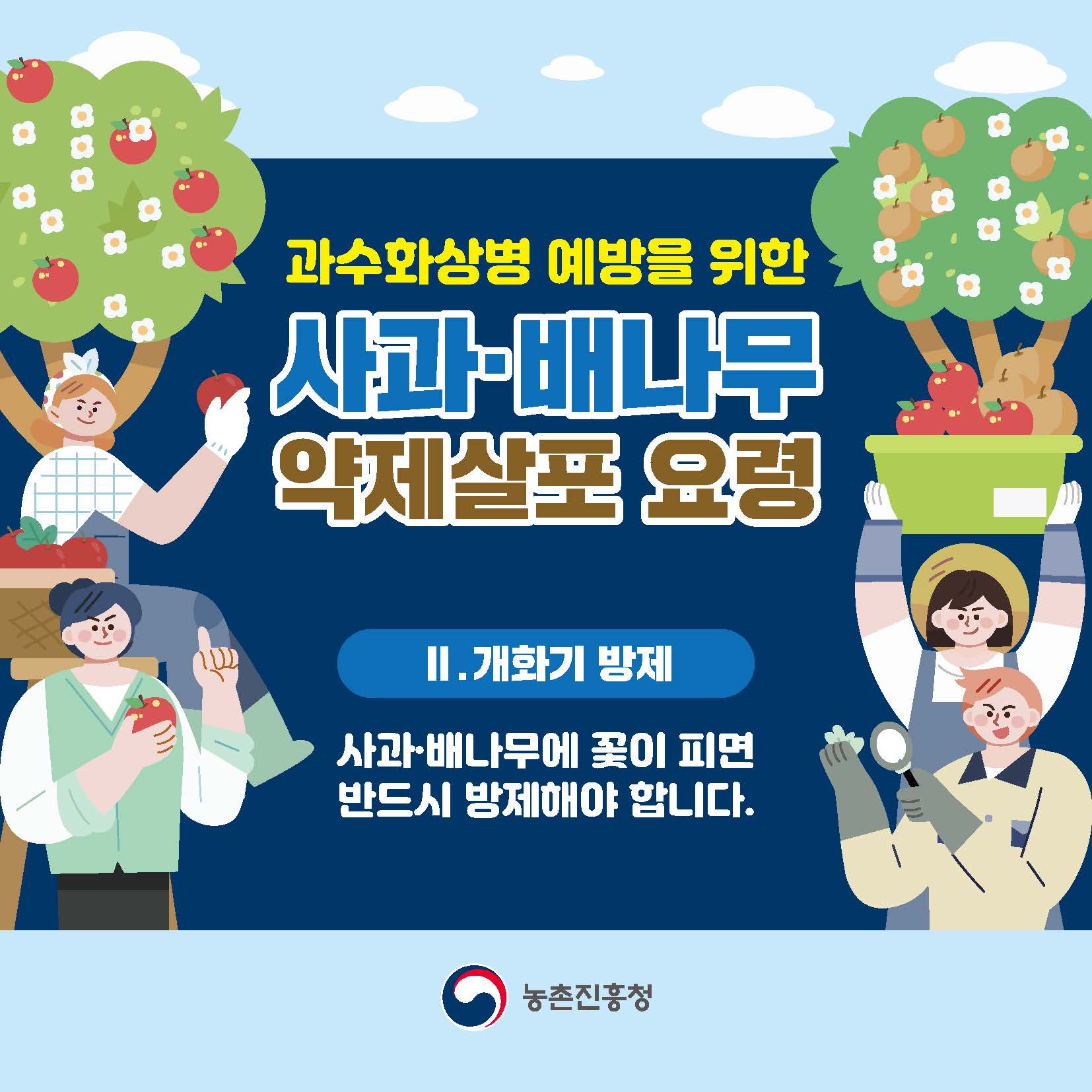 과수화상병 예방을 위한 사과·배나무 약제살포 요령 Ⅱ. 개화기 방제 사과,배나무에 꽃이 피면 반드시 방제해야 합니다. 농촌진흥청