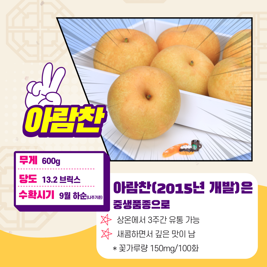 아람찬 무게 600g 당도 13.2브릭스 수확시기 9월 하순(나주기준) 아람찬(2015년 개발)은 중생품종으로 상온에서 3주간 유통 가능 새콤하면서 깊은 맛이 남 *꽃가루량 150mg/100화