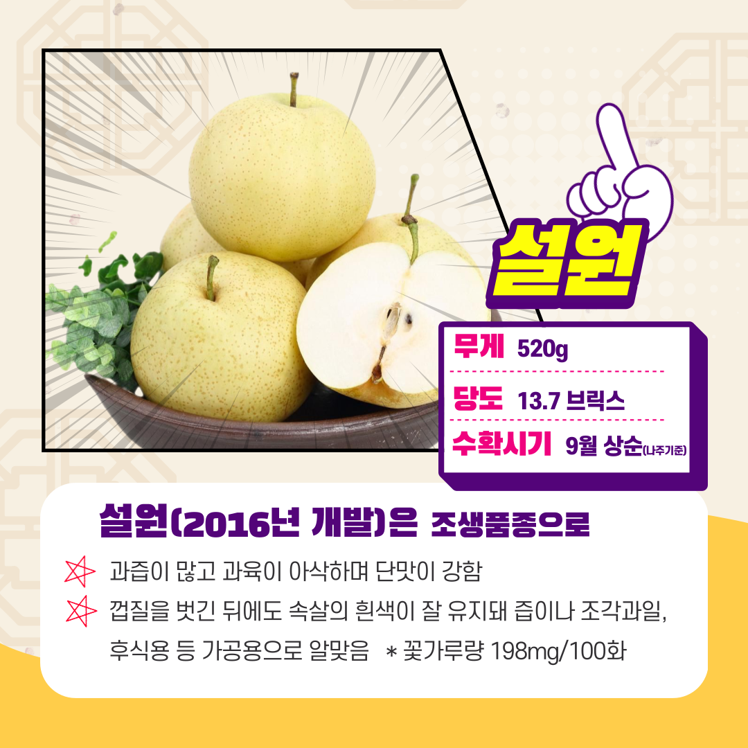 설원 무게 520g 당도 13.7브릭스 수확시기 9월 상순(나주기준) 설원(2016년 개발)은 조생품종으로 과즙이 많고 과육이 아삭하며 단맛이 강함 껍질을 벗긴 뒤에도 속살의 흰색이 잘 유지돼 즙이나 조각과일, 후식용 등 가공용으로 알맞음 * 꽃가루량 198mg/100화 