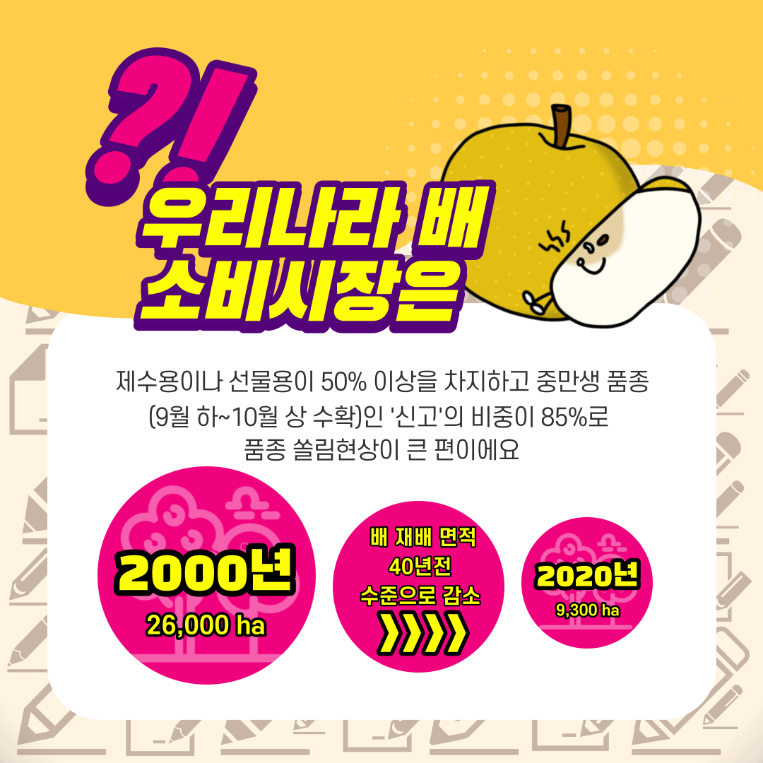 우리나라 배 소비시장은 제수용이나 선물이 50% 이상을 차지하고 중만생 품종(9월 하~10월 상 수확)인 신고의 비중이 85%로 품종 쏠림현상이 큰 편이에요 2000년 26,000ha 배 재배 면적 40년전 수준으로 감소 2020년 9,300 ha 