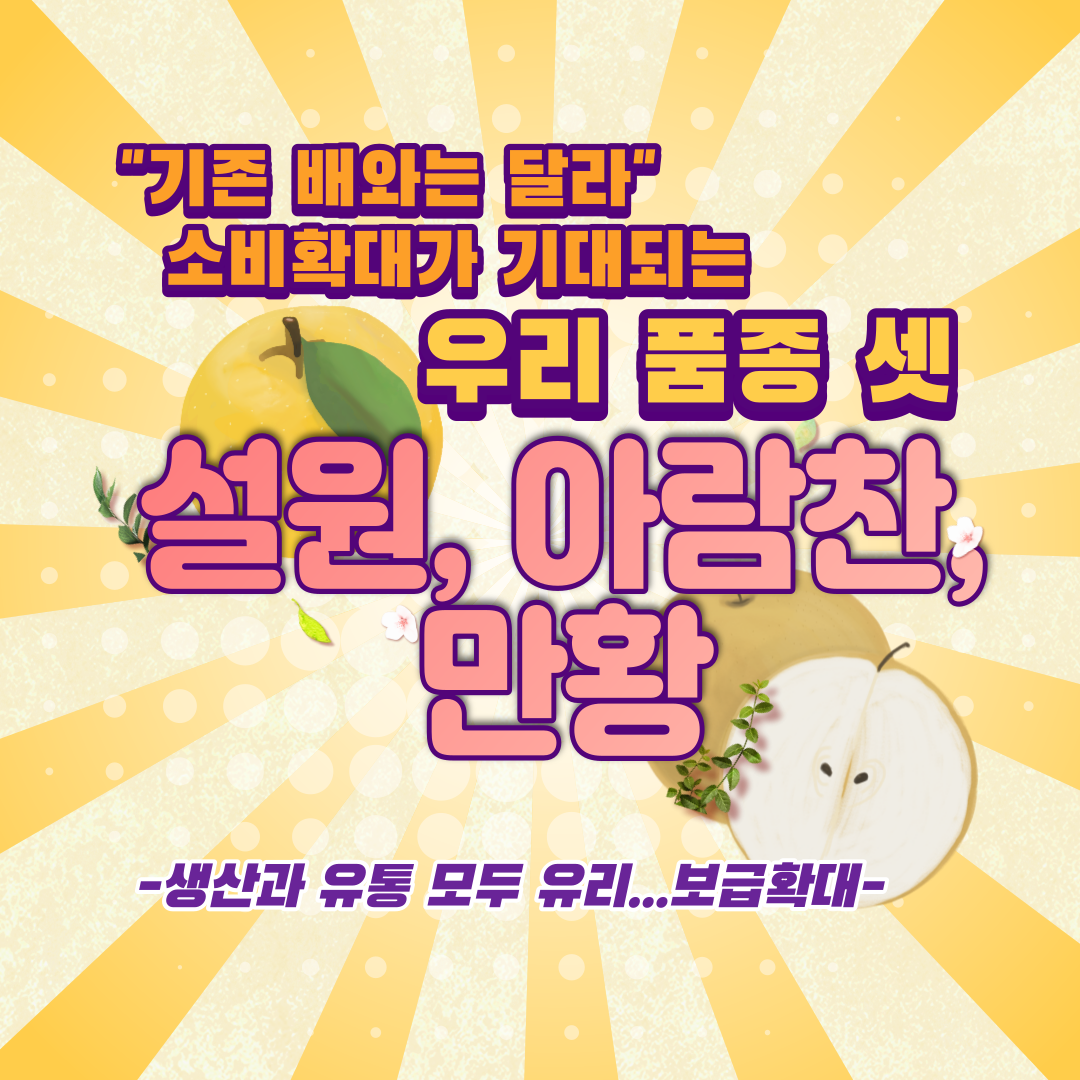 기존 배와는 달라 소비확대가 기대되는 우리 품종 셋 설원, 아람찬, 만황 생산과 유통 모두 유리 보급확대 