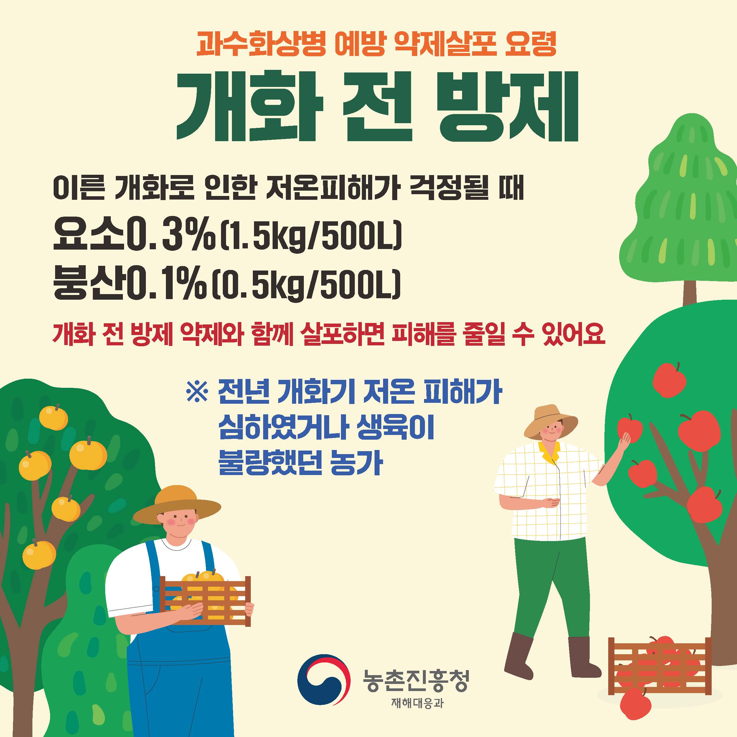 과수화상병 예방 약제살포 요령 개화 전 방제 이른 개화로 인한 저온피해가 걱정될 때 요소0.3%(1.5kg/500L) 붕산0.1%(0.5kg/500L) 개화 전 방제 약제와 함께 살포하면 피해를 줄일 수 있어요 ※전년 개화기 저온 피해가 심하였거나 생육이 불량했던 농가 농촌진흥청 재해대응과