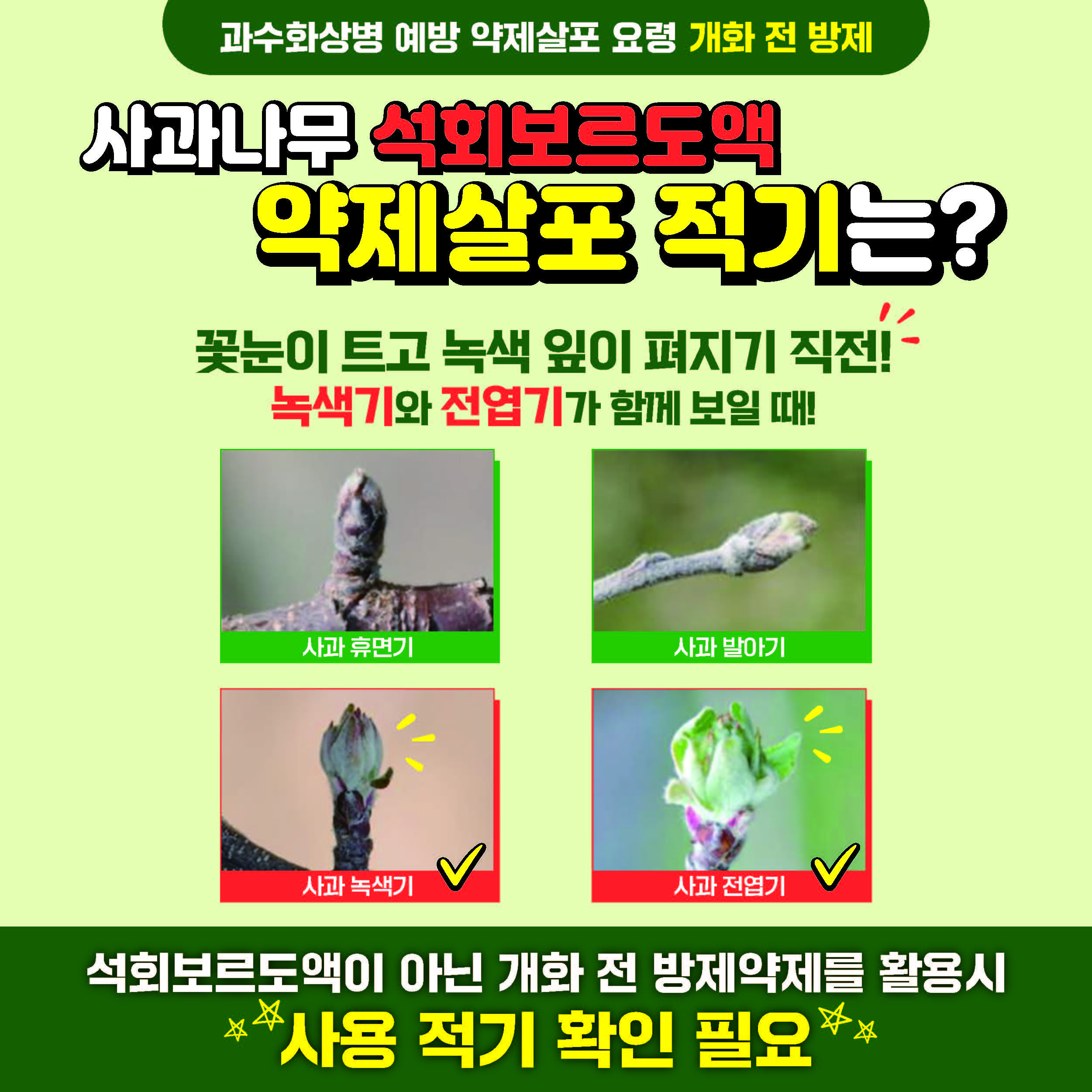 과수화상병 예방 약제살포 요령 개화 전 방제 사과나무 석회보르도액 약제살포 적기는? 꽃눈이 트고 녹색 잎이 펴지기 직전 녹색기와 전엽기가 함께 보일 때! 사과 휴면기, 사과 발아기, 사과 녹색기, 사과 전엽기 석회 보르도액이 아닌 개화 전 방제약제를 활용시 사용 적기 확인 필요
