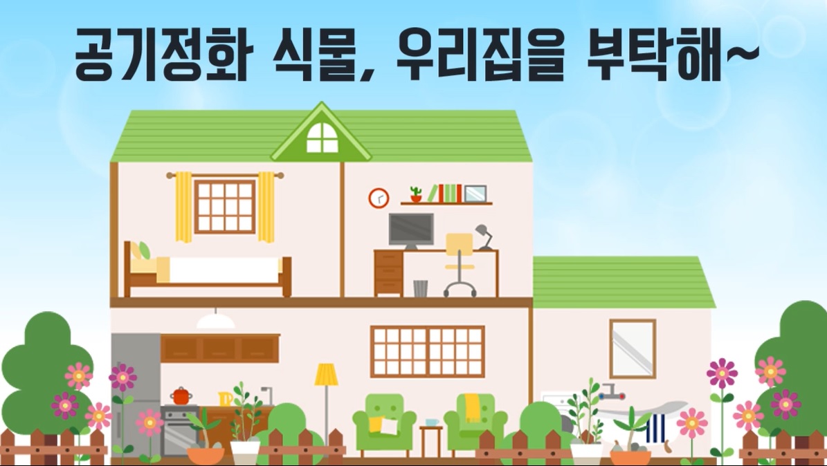 공기정화 식물, 우리집을 부탁해~