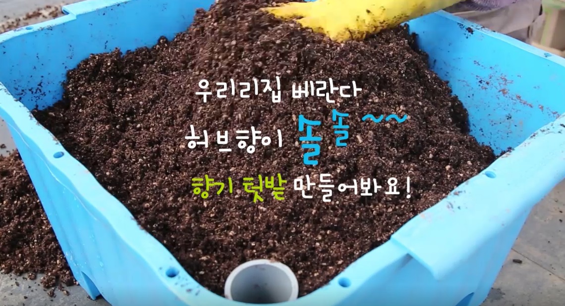 우리집 베란다 허브향이 솔솔~~ 향기 텃밭 만들어봐요!