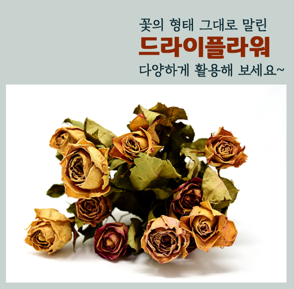 드라이플라워만들기