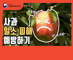 [썸네일 이미지] 사과 일소 피해 예방하기
