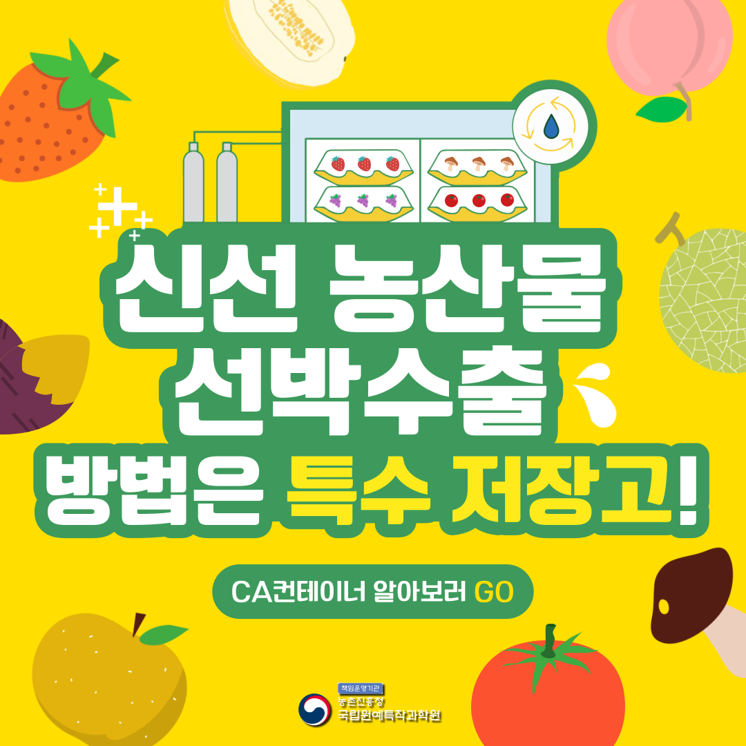 신선 농산물 선박수출 방법은 특수 저장고! CA컨테이너 알아보러 GO