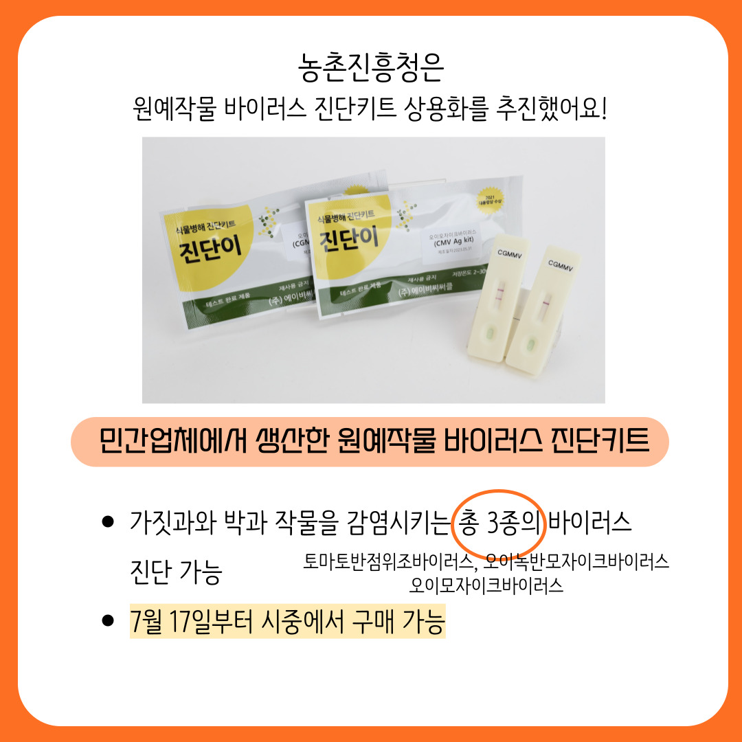 농촌진흥청은 원예작물 바이러스 진단키트 상용화를 추진했어요! 민간업체에서 생산한 원예작물 바이러스 진단키트 가짓과와 박과 작물을 감염시키는 총 3종의 바이러스 진단가 가능 토마토반점위조바이러스, 오이녹반모자이크바이러스, 오이모자이크바이러스 7월 17일부터 지중에서 구매 가능 
