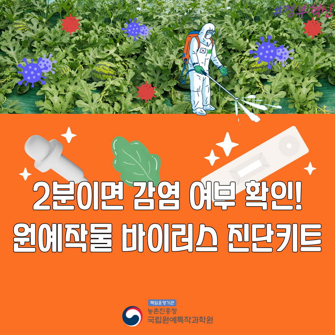 2분이면 감염 여부 확인! 원예작물 바이러스 진단키트 책임운영기관 농촌진흥청 국립원예특작과학원