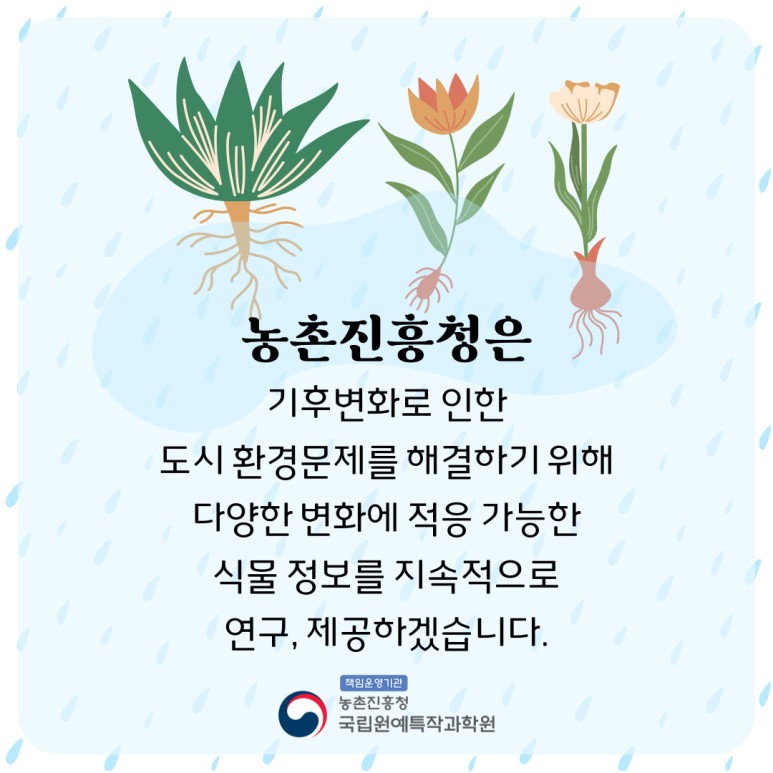 농촌진흥청은 기후변화로 인한 도시 환경문제를 해결하기 위해 다양한 변화에 적응 가능한 식물 정보를 지속적으로 연구, 제공하겠습니다. 책임운영기관 농촌진흥청 국립원예특작과학원 