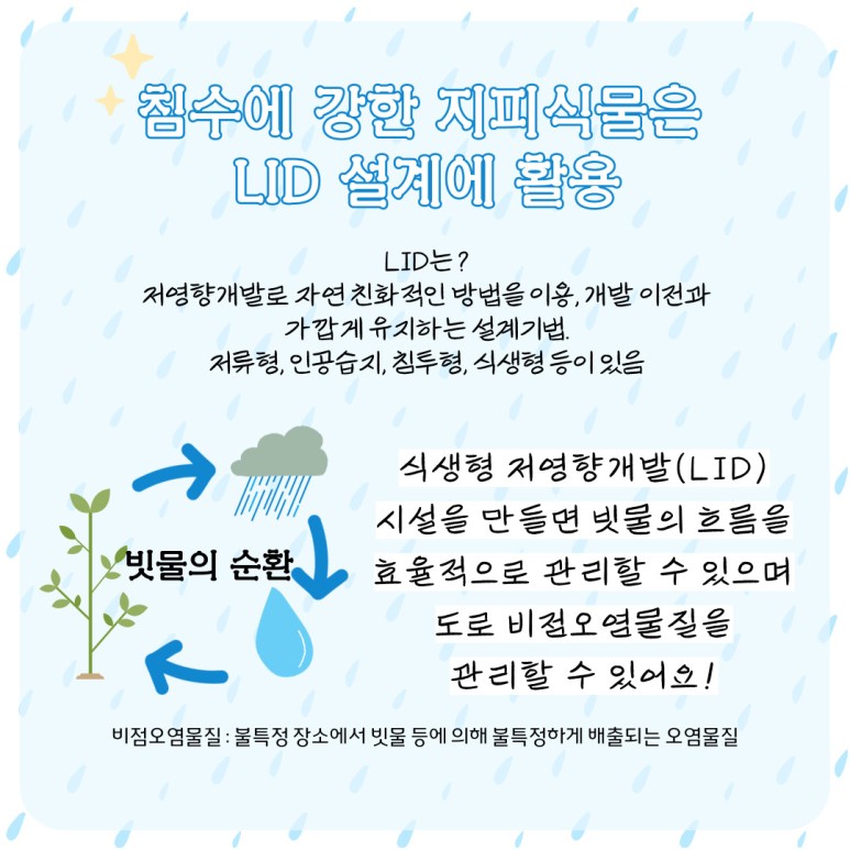 침수에 강한 지피식물은 LID 설계에 활용 LID는? 저영향개발로 자연친화적인 방법을 이용, 개발 이전과 가깝게 유지하는 설계기법 저류형, 인공슺비, 침투형, 식생형 등이 있음 빗물의 순환 식생형 저영향개발(LID) 시설을 만들면 빗물의 흐름을 효율적으로 관리할 수 있으며 도로 비점오염물질을 관리할 수 있어요! 비점오염물질: 불특정 장소에서 빗물 등에 의해 불특정하게 배출되는 오염물질