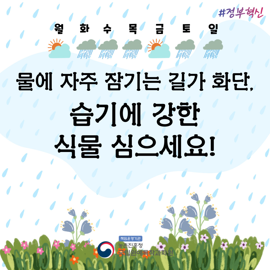 물에 자주 잠기는 길가 화단, 습기에 강한 식물 심으세요! # 정부혁신 월 화 수 목 금 토 일 책임운영기관 농촌진흥청 국립원예특작과학원 