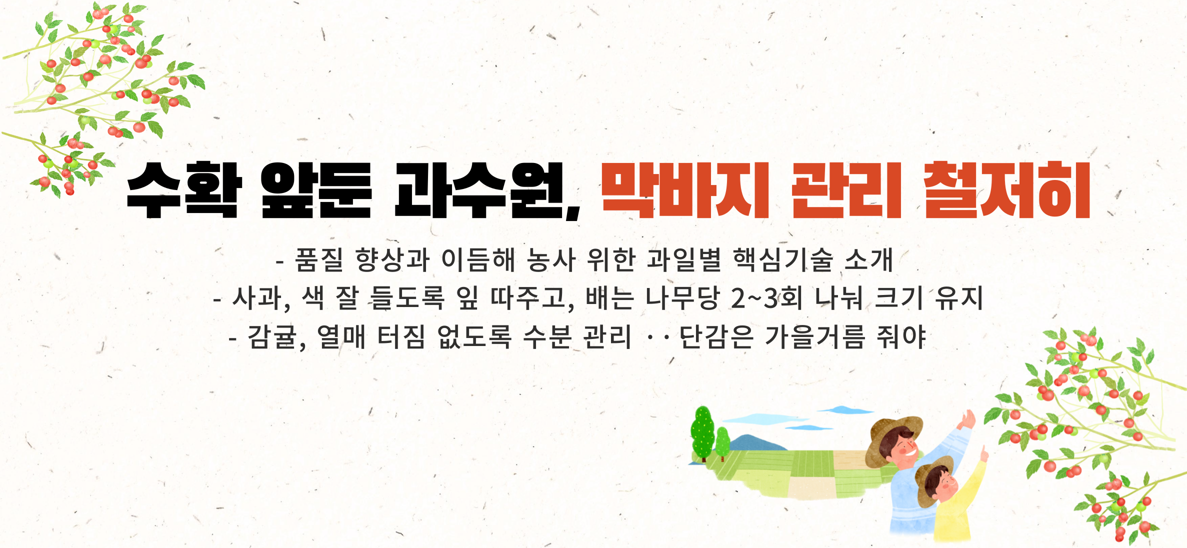 수확 앞둔 과수원, 막바지 관리 철저히 품질 향상과 이듬해 농사 위한 과일별 핵심기술 소개 사과, 색 잘 들도록 잎 따주고, 배는 나무당 2~3회 나눠 크기 유지 감귤, 열매 터짐 없도록 수분 관리 ··· 단감은 가을거름 줘야 