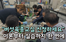 “버섯육종교실 신청하세요” 이론부터 실습까지 한 번에