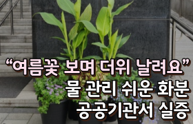 “여름꽃 보며 더위 날려요” 물 관리 쉬운 화분 공공기관서 실증