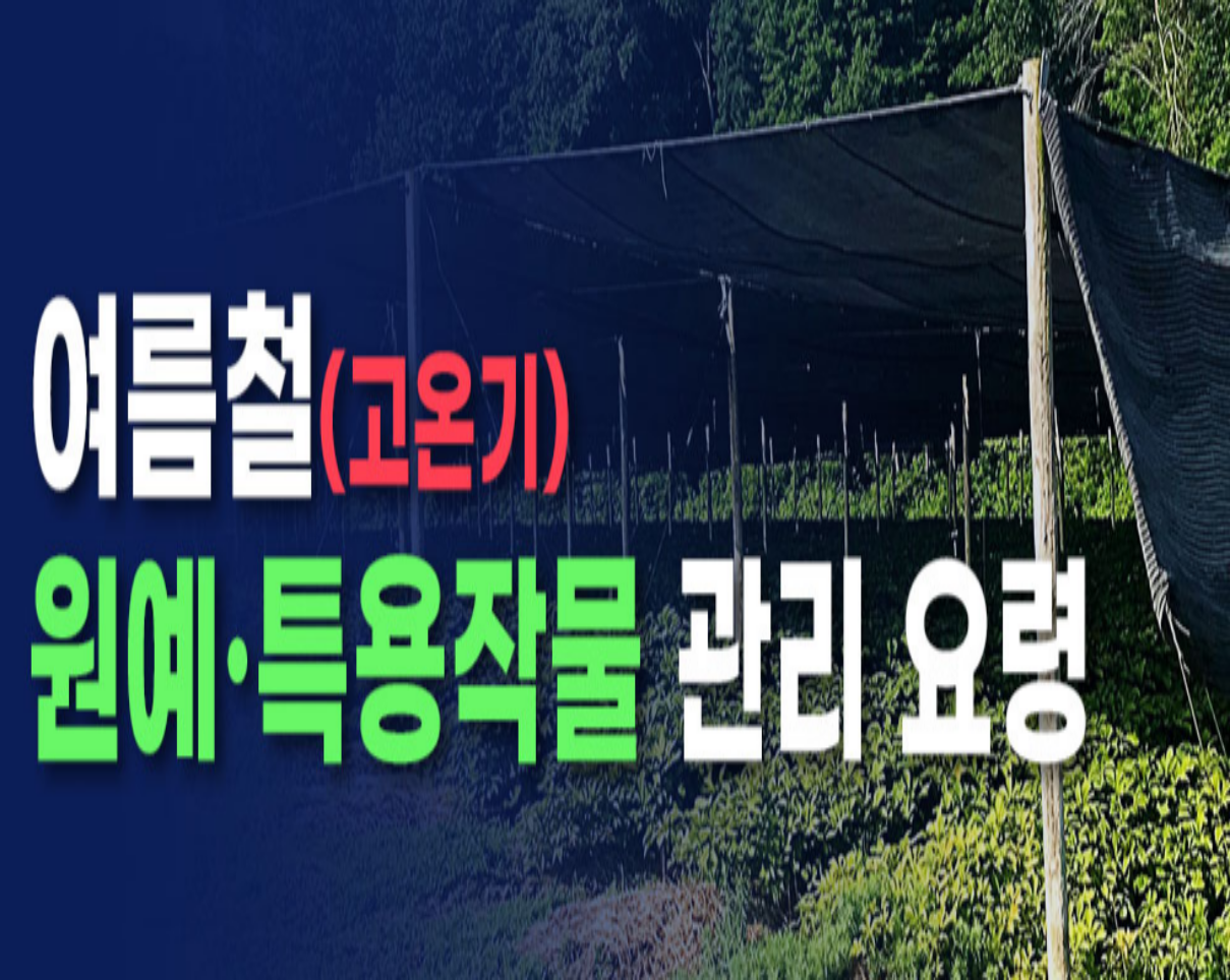 여름철(고온기)원예.특용작물 관리 요령