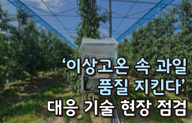 ‘이상고온 속 과일 품질 지킨다’ 대응 기술 현장 점검