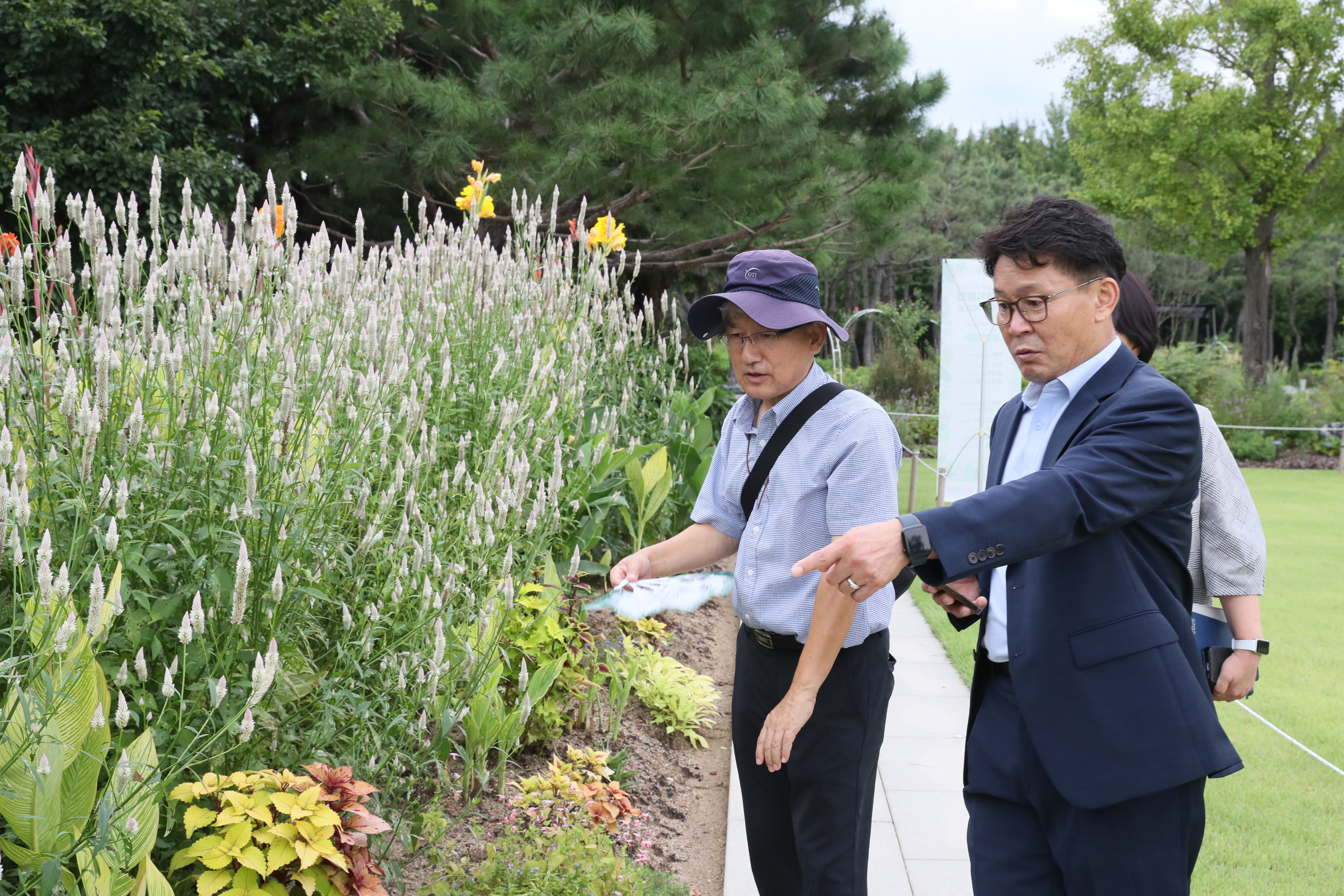 열대풍 가로화단 실증 현장방문 
