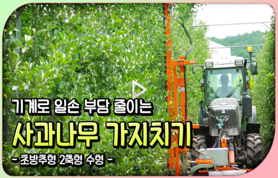 기계로 일손 부담 줄이는 사과나무 가지치기(초방추형 2축형 수형)
