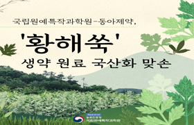 국립원예특작과학원-동야제약, 황해쑥 생약 원료 국산화 맞손 