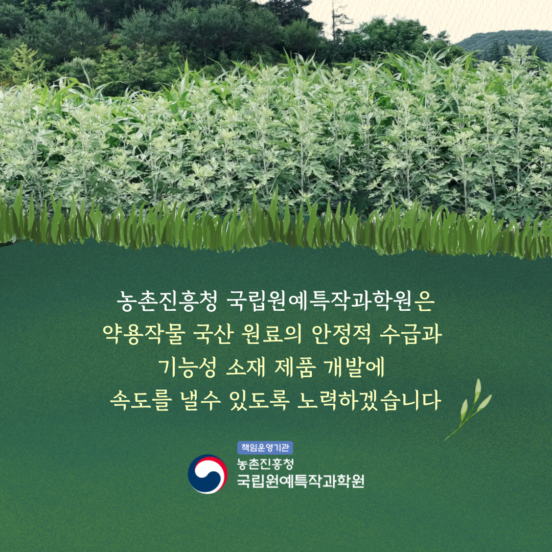 농촌진흥청 국립원예특작과학원은 약용작물 국산 원료의 안정적 수급과 기능성 소재 제품 개발에 속도를 낼 수 있도록 노력하겠습니다. 