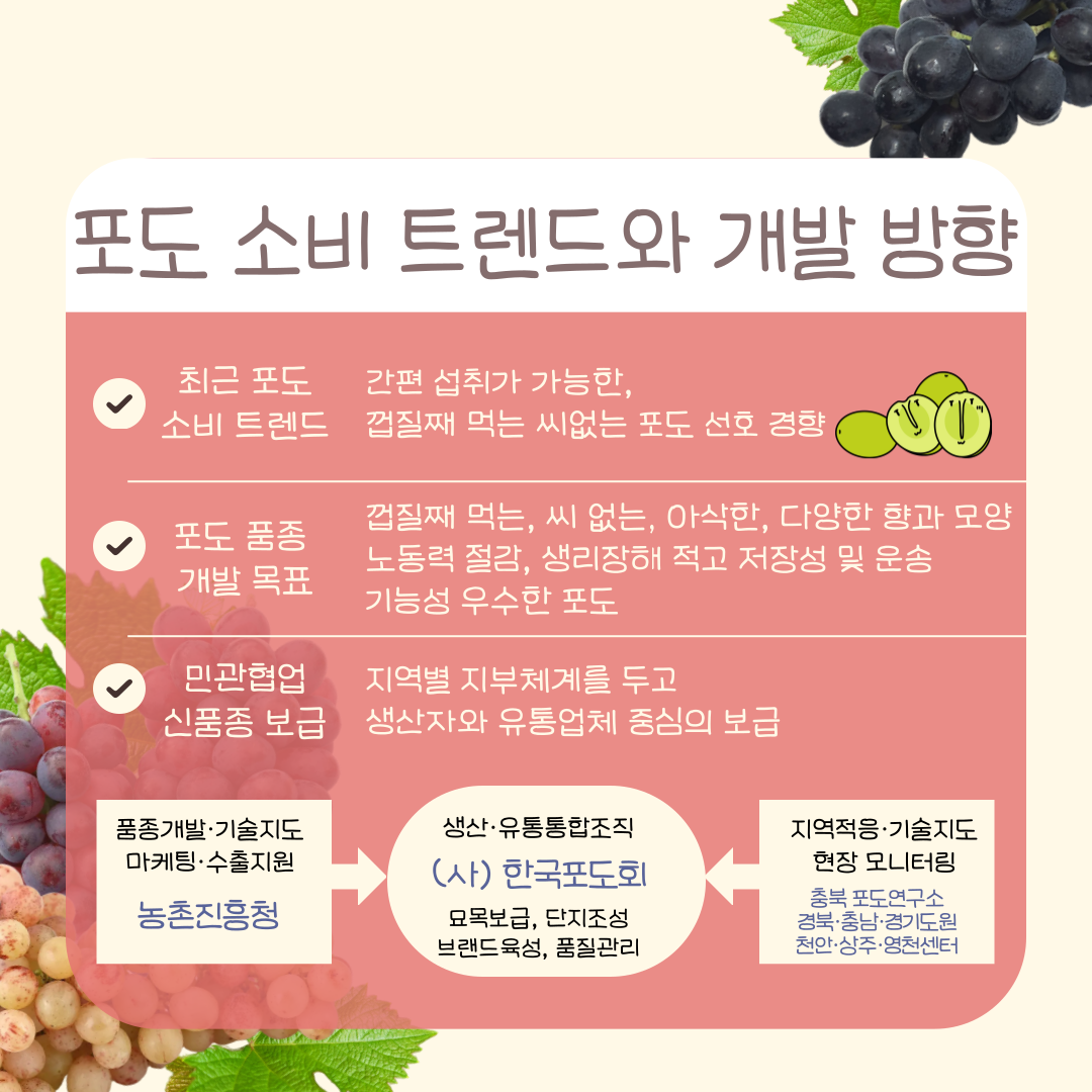 포도 소비 트렌드와 개발 방향 최근 포도 소비 트렌드 간편 섭취가 가능한, 껍질째 먹는 씨없는 포도 선호 경향  포도 뭄종 개발 목표 껍질째 먹는, 씨 없는, 아삭한, 다양한 향과 모양 노동력 절감, 생리장해 적고 저장성 운송 기능성 우수한 포도 민관협업 신품종 보급 지역별 지부체계를 두고 생산자와 유통업체 중심의 보급  품종개발·기술지도마케팅·수출지원 농촌진흥청 -> 생산·유통통합조직(사)한국포도회 묘목보급, 단지조성 브랜드 육성, 품질관리 <-지역적응·기술지도 현장 모니터링 충북 포도 연구소 경북·충남·경기도원 천안·상주·영천센터 