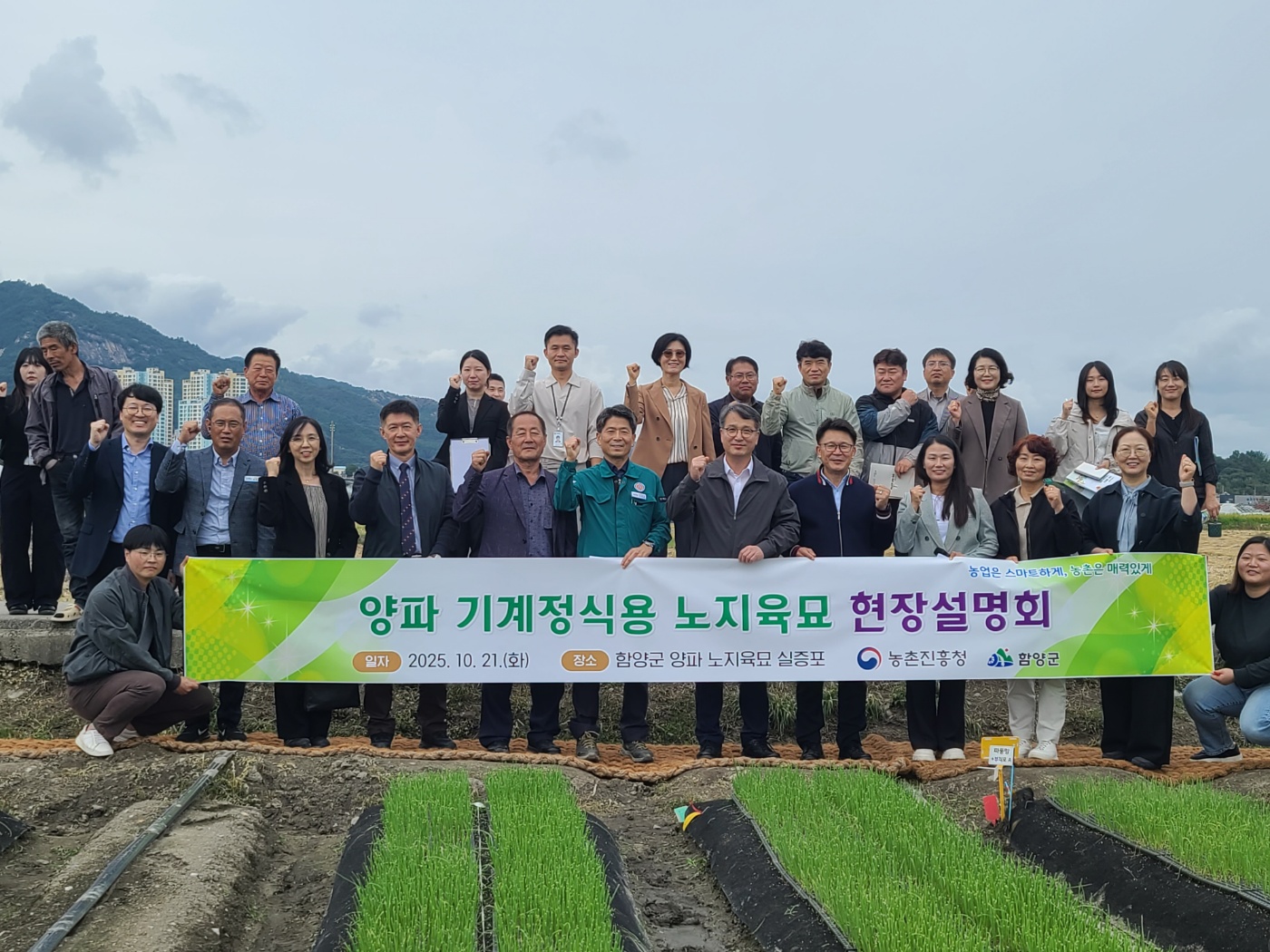 양파 기계정식용 노지육묘 현장설명회 