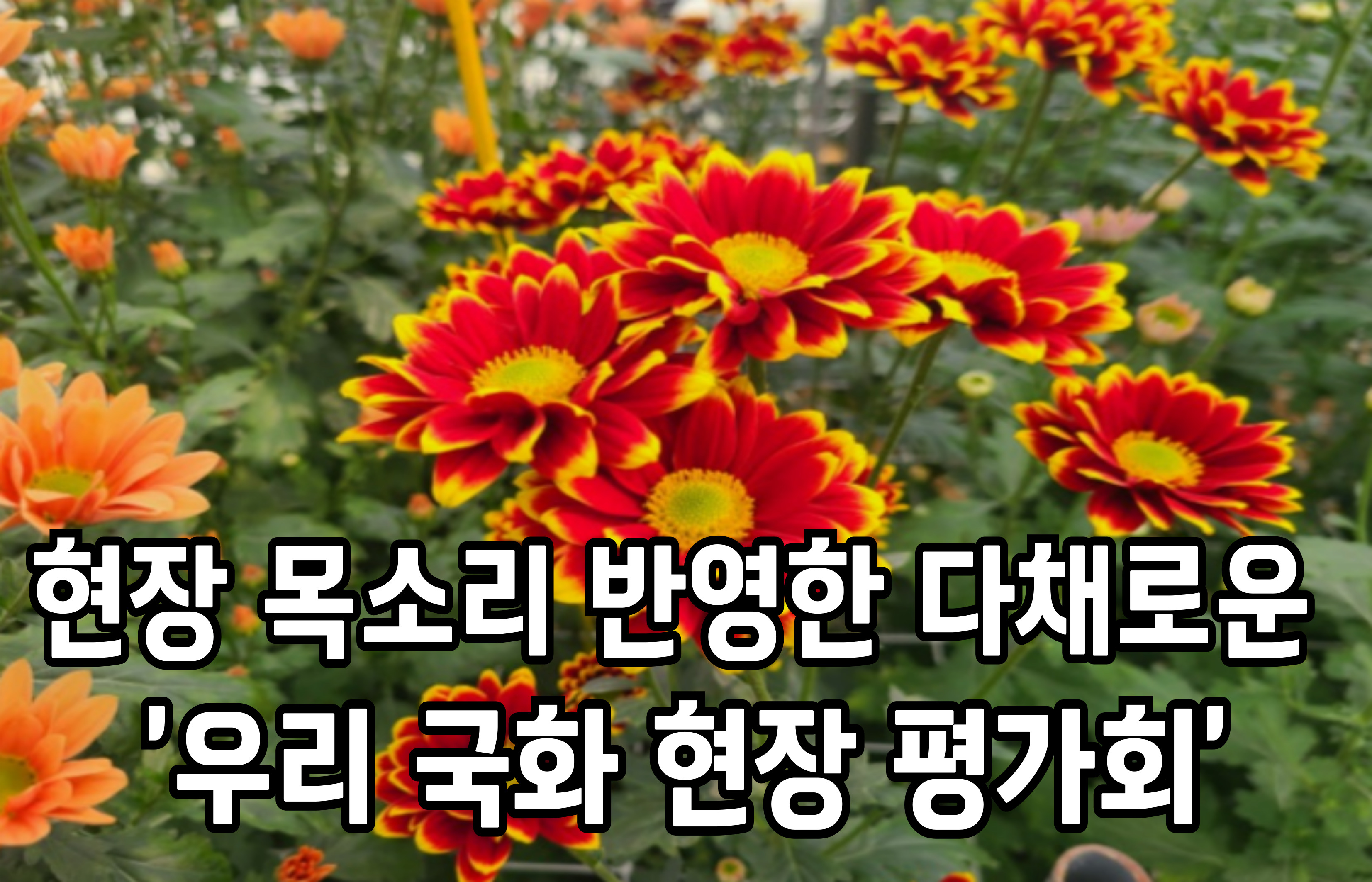 현장 목소리 반영한 다채로운 ‘우리 국화 현장 평가회’ 