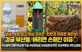 감귤 부산물 재활용해서 돈까지 버는 법 