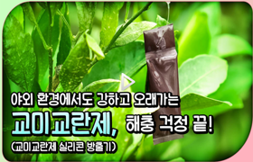 야외 환경에서도 강하고 오래가는 교미교란제, 해충 걱정 끝!