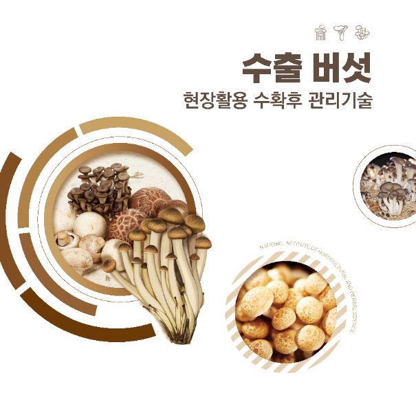 [새창] 수출버섯 :현장활용 수확후 관리기술
