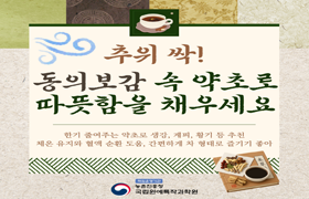 추위 싹! 동의보감 속 약초로 따뜻함을 채우세요 