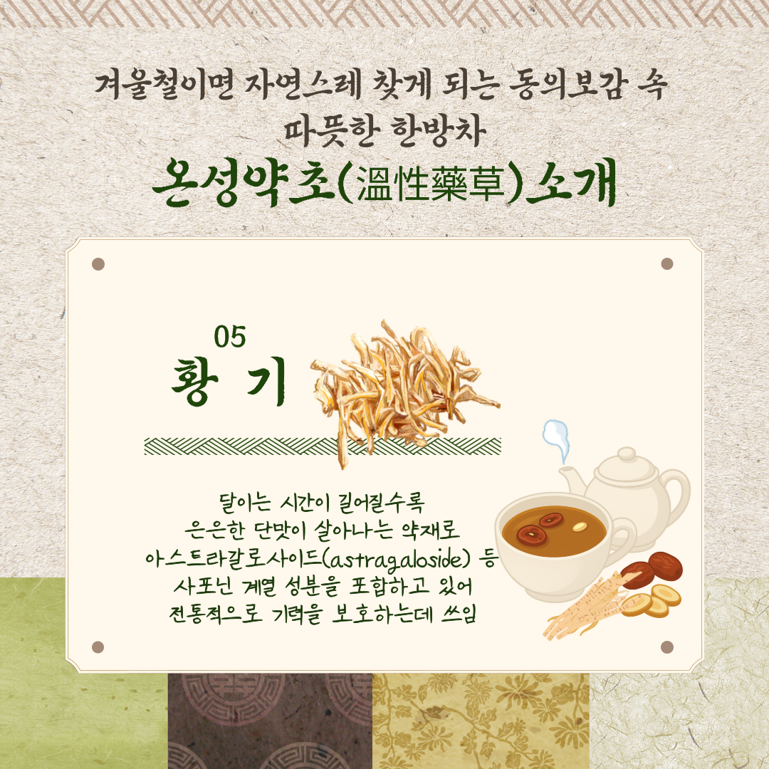 겨울철이면 자연스레 찾게 되는 동의보감 속 따듯한 한방차 온성약초(溫性藥草) 소개 05 황기 달이는 시간이 길어질수록 은은한 단맛이 살아나는 약재로 아스트라갈로사이드(astragaloside) 등 사포닌 계열 성분을 포함하고 있어 전통적으로 기력을 보호하는데 쓰임 