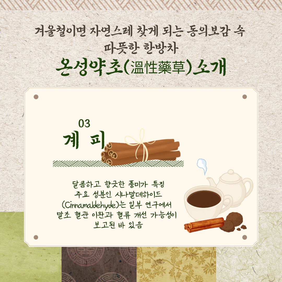 겨울철이면 자연스레 찾게 되는 동의보감 속 따듯한 한방차 온성약초(溫性藥草) 소개 03 계피 달콤하고 향긋한 풍미가 특징 주요 성분인 시나말데하이드(Cinnamaldehyde)는 일부 연구에서 말초 혈관 이완과 혈류 개선 가능성이 보고된 바 있음
