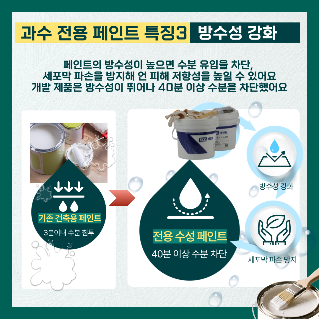 과수 전용 페인트 특징3 방수성 강화 페인트의 방수성이 높으면 수분 유입을 차단, 세포막 파손을 방지해 언 피해 저항성을 높일 수 있어요 개발 제품은 방수성이 뛰어나 40분 이상 수분을 차단했어요  기존 건축용 페인트 3분이내 수분 침투 전용 수성 페인트 40분 이상 수분 차단 방수성 강화 세포막 파손 방지 