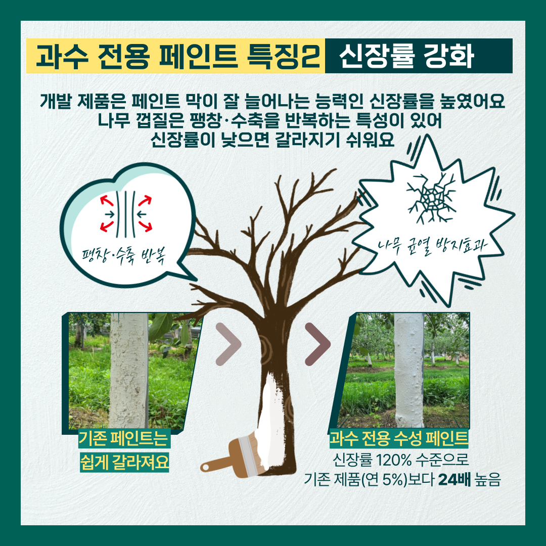 과수 전용 페인트 특징2 신장률 강화 개발 제품은 페인트 막이 잘 늘어나는 능력인 신장률을 높였어요 나무 껍질은 팽창·수축을 반복하는 특성이 있어 신장률이 낮으면 갈라지기 쉬워요 팽창·수축 반복 나무 균열 방지효과 기존 페인트는 쉽게 갈라져요 과수 전용 수성 페인트 신장률 120% 수준으로 기존 제품(연5%) 보다 24배 높음 