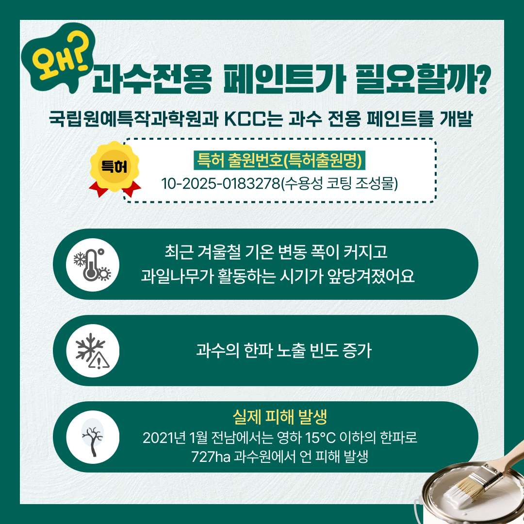 왜? 과수전용 페인트가 필요할까? 국립원예특작과학원과 KCC는 과수 전용 페인트를 개발 특허 특허 출원번호(특허출원명) 10-2025-0183278(수용성 코팅 조성물) 최근 겨울철 기온 변동 폭이 커지고 과일나무가 활동하는 시기가 앞당겨졌어요 과수의 한파 노출 빈도 증가 실제 피해 발생 2021년 1월 전남에서는 영하 15℃ 이하의 한파로 727ha 과수원에서 언 피해 발생 