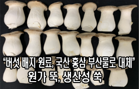 “버섯 배지 원료, 국산 홍삼 부산물로 대체” 원가 뚝, 생산성 쑥 