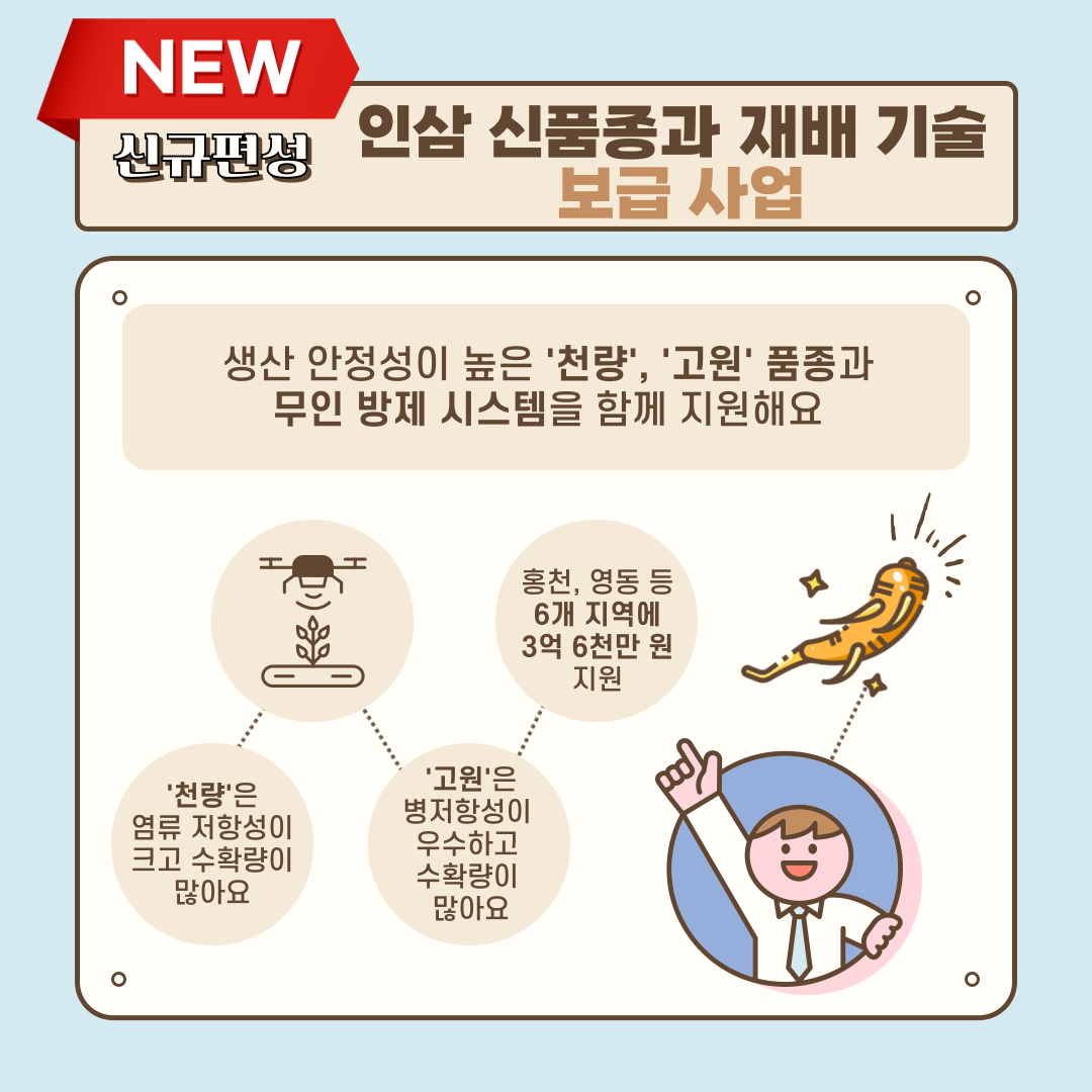 NEW 신규편성 인삼 신품종과 재배 기술 보급 사업 생산 안정성이 높은 '천량', '고원' 품종과 무인 방제 시스템을 함께 지원해요 '천량'은 염류 저항성이 크고 수확량이 많아요 '고원'은 병저항성이 우수하고 수확량이 많아요 홍천, 영동 등 6개 지역에 3억 6천만원 지원 
