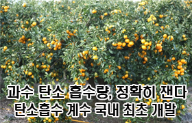 과수 탄소 흡수량, 정확히 잰다…탄소흡수 계수 국내 최초 개발 