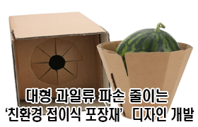 대형 과일류 파손 줄이는 ‘친환경 접이식 포장재’ 디자인 개발 
