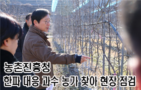 농촌진흥청, 한파 대응 과수 농가 찾아 현장 점검