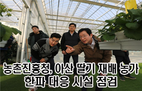 농촌진흥청, 아산 딸기 재배 농가 한파 대응 시설 점검