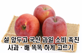 설 앞두고 국산 과일 소비 촉진…사과·배 똑똑하게 고르기 